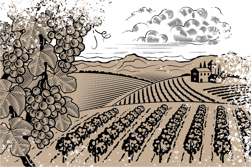 Vignes Caviste92Antonypilmes